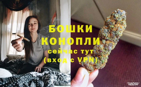 эйфоретик Кукмор