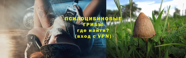 эйфоретик Кукмор