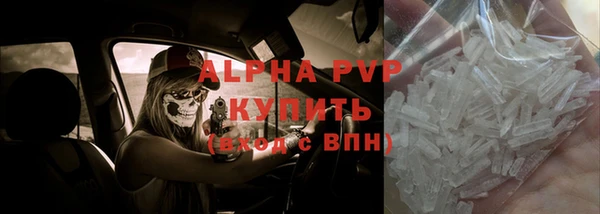 эйфоретик Кукмор