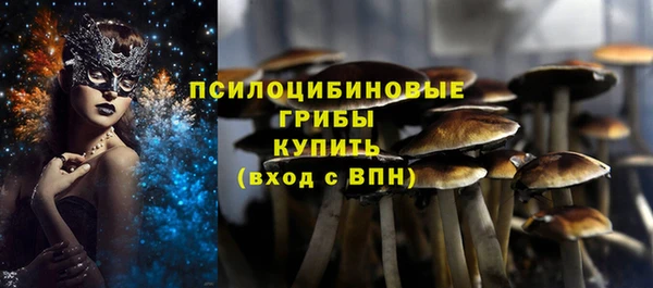 эйфоретик Кукмор