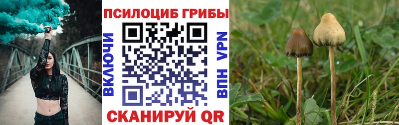 hydra онион  Мантурово  Галлюциногенные грибы GOLDEN TEACHER 